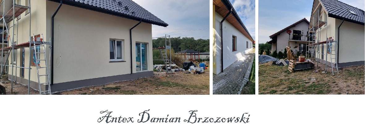 Antex Damian Brzozowski