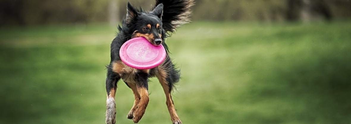 Interdeco Sp. z o.o.