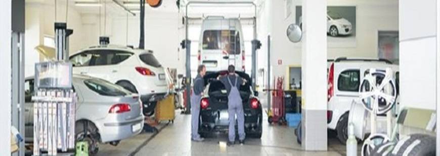 Mechanika Pojazdowa Mechnik Adam Pelc