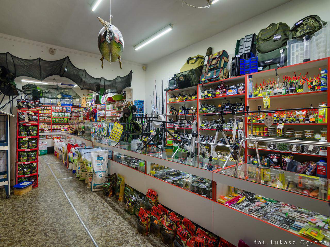 legowiska dla zwierząt