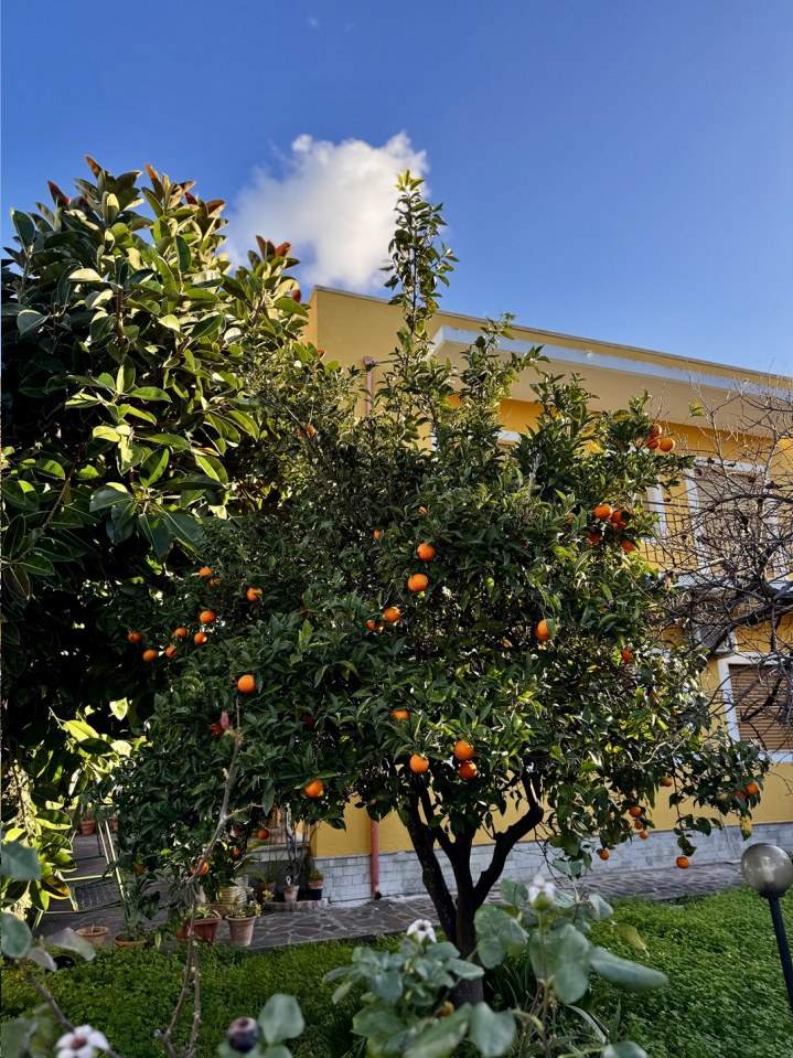 oferty lokali we włoszech