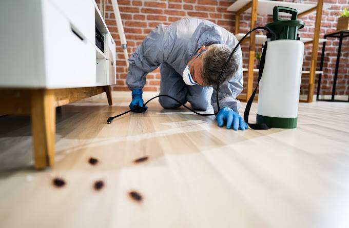 deratyzacja, dezynfekcja