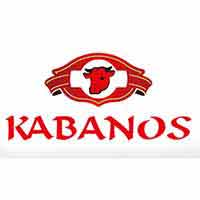 Firma Kabanos Kojs Mirosław i Joanna Kojs-Kowalczyk Spółka Jawna Przepyszne Wędliny To Nasza Specjalność - logo