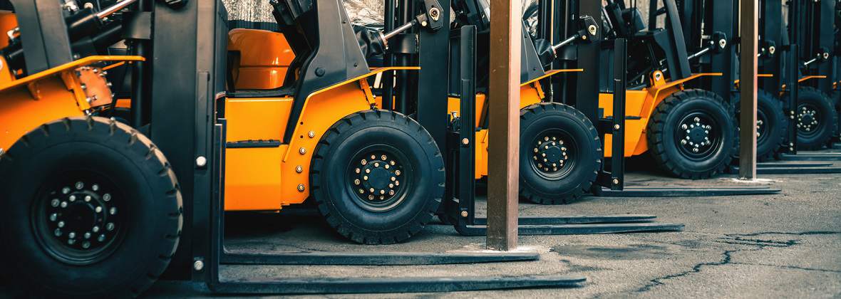 EduSimp Paulina Onyszczak