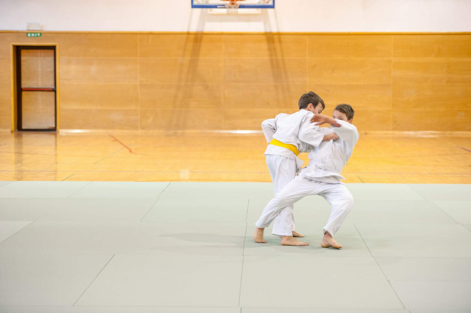 judo
