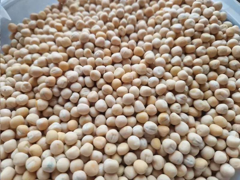 Artur Barczak Gospodarstwo rolne