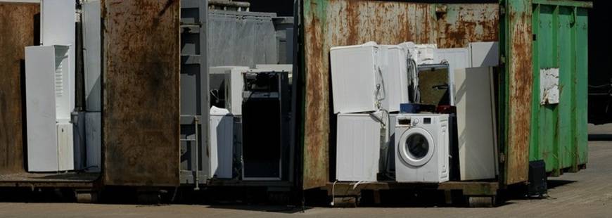 Mardo Dominika Drąg-Szubart