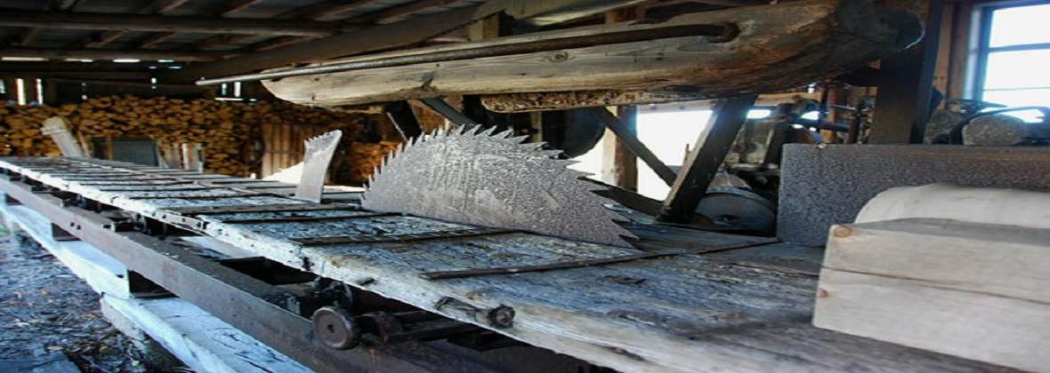 Trans Trak Export, import Sylwester Wójcik