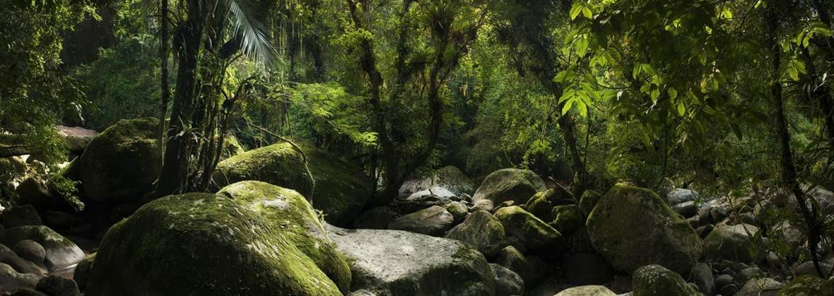 Przestrzeń Ewolucji Eliza Naruszewicz