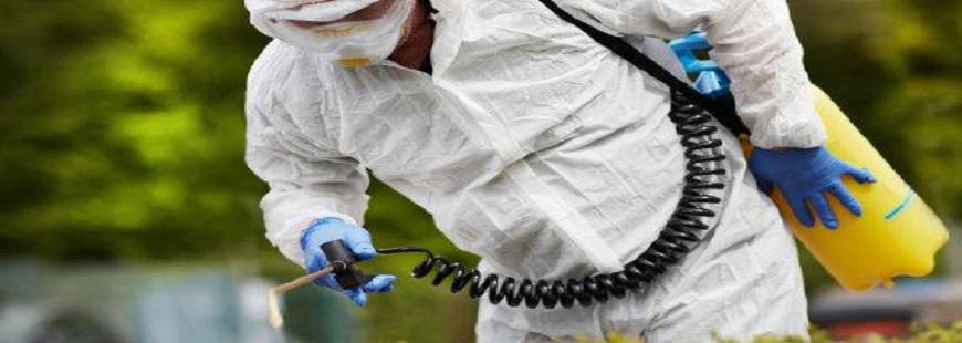 Daw Der Jacek Fliszewski