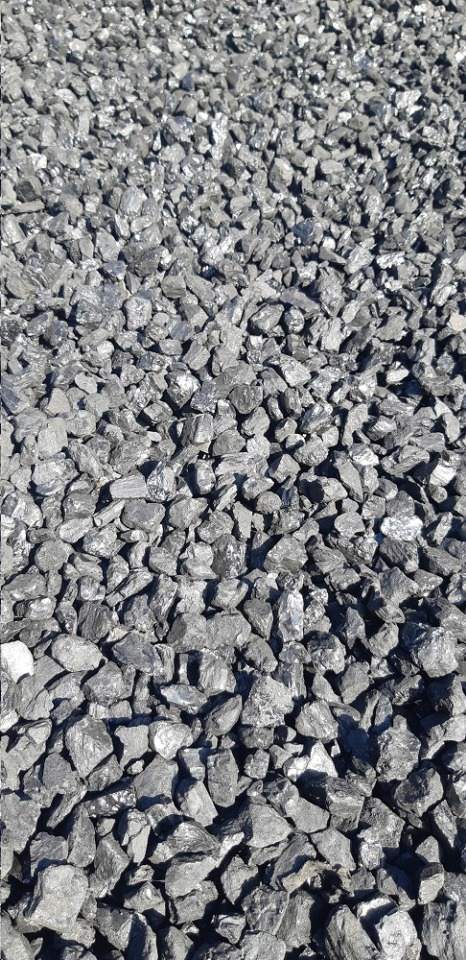 kamienny orzech średni