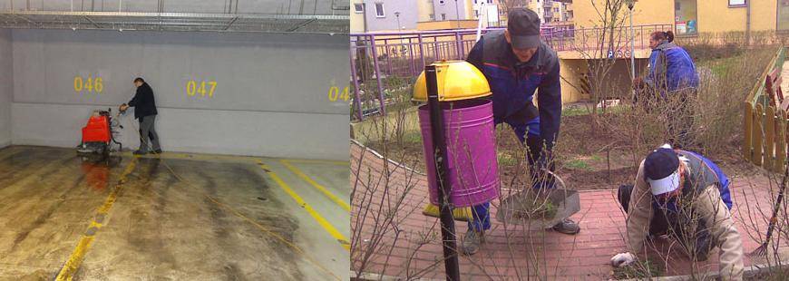 Anna Michalak Zakład Usług Porządkowych Amis Sprzątanie Wnętrz