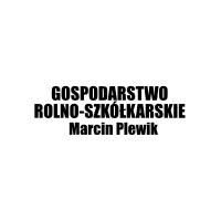 Marcin Plewik Gospodarstwo Rolno-Szkółkarskie - Produkcja roślin i nasion
