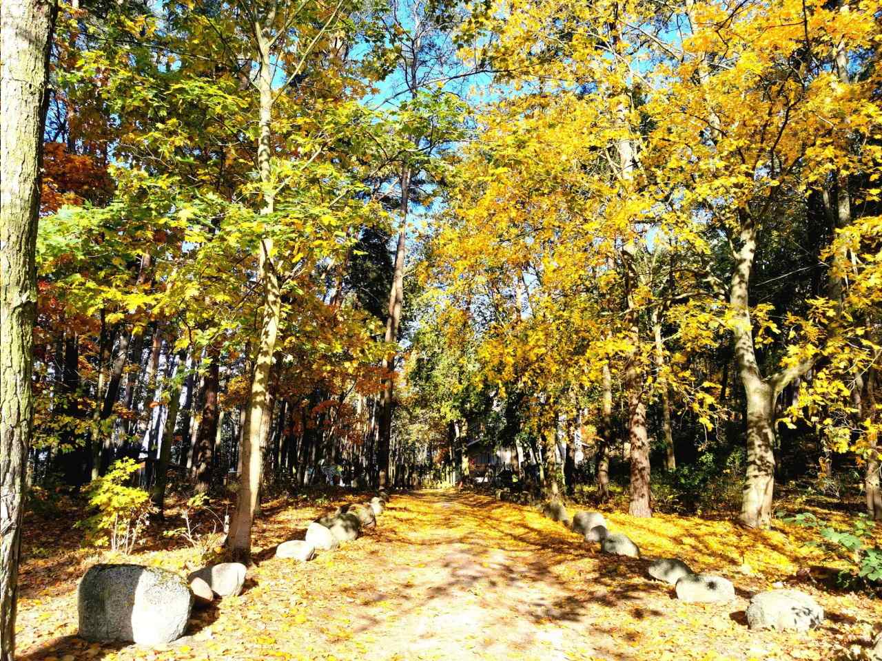 Domki nad Jeziorem Ośrodek Wypoczynkowy Jeleń