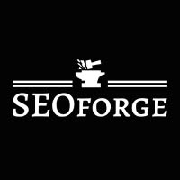 Paweł Zbiegień Seoforge - Internet