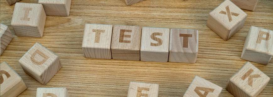 Virginia Rogozińska Psycholog Transportu