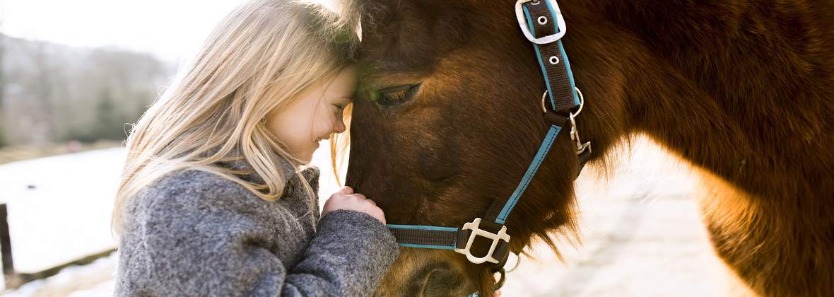 Karat Gabinet weterynaryjny Julia Wojciechowska