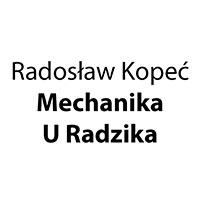 Radosław Kopeć Mechanika U Radzika - Stacje obsługi i warsztaty samochodowe