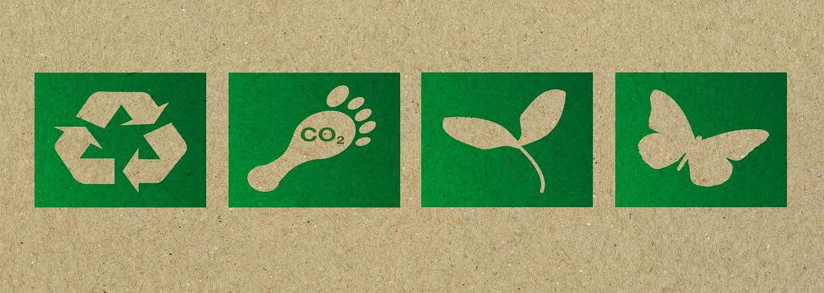 Ekologic Michał Stopczyński