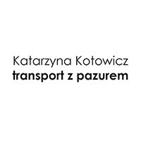 Katarzyna Kotowicz transport z pazurem - Transport samochodowy