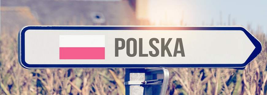 Stamar - Mariia Stasiv