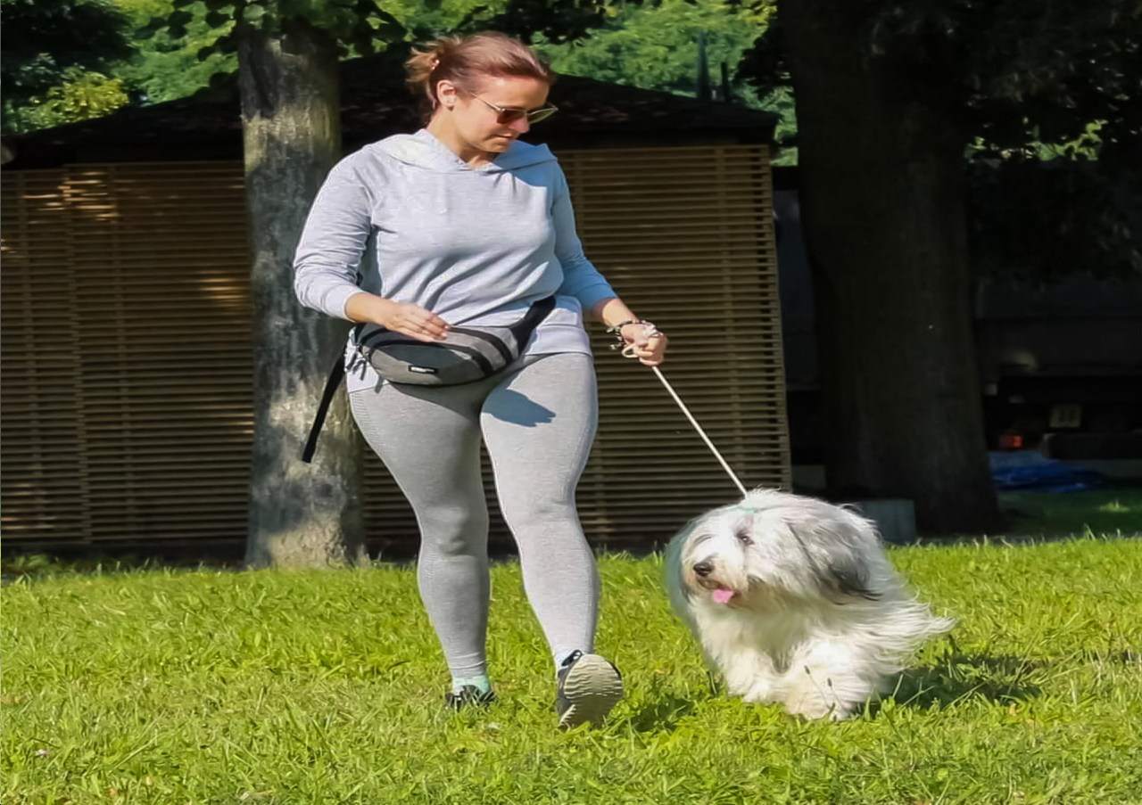 terapia behawioralna dla psa