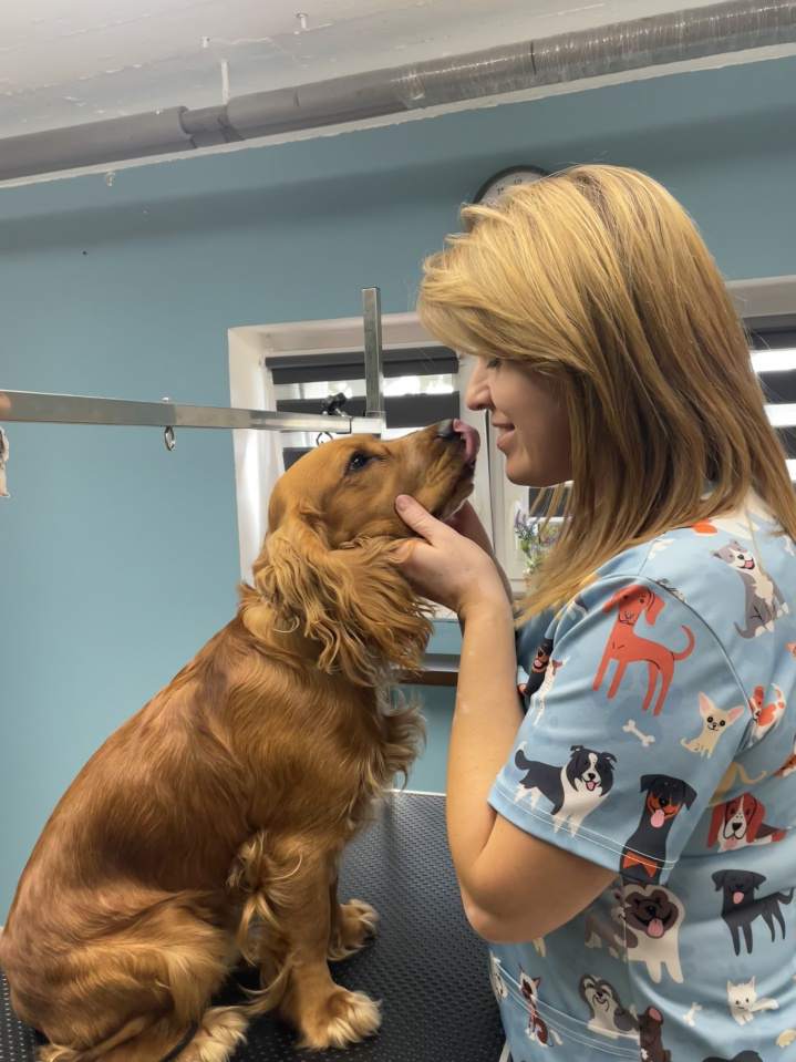 odżywianie sierści psa