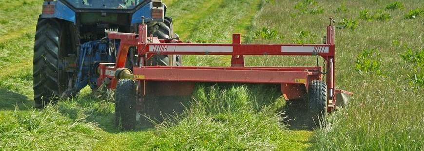 Patryk Gierat Pagi Usługi