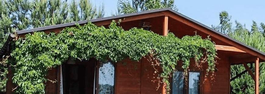 Aneta Powałka Domki Letniskowe Pod Brzozami