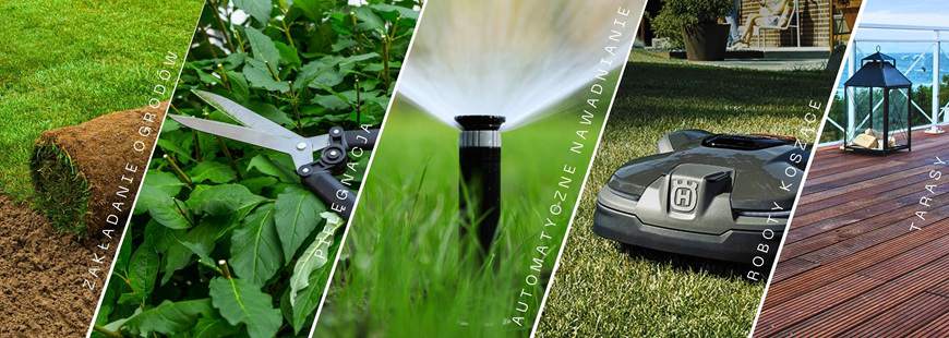 Zielone Koszone Weronika Wolańska