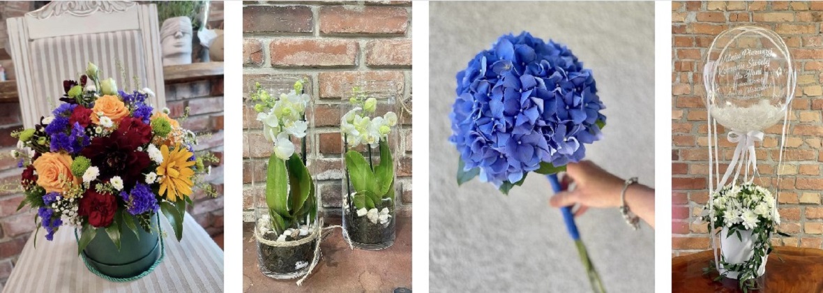 Gardenia Kwiaciarnia Mariola Jendrysiak