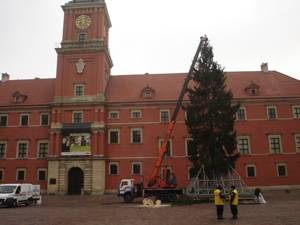 Usługi Dźwigowe i Przewóz Towarów, dźwigi i żurawie