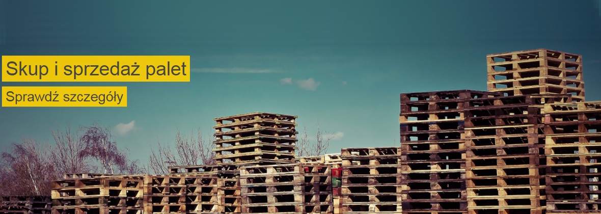 Liderpal Andrzej Filipek