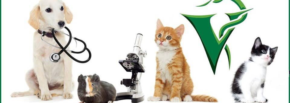 Przychodnia Weterynaryjna "MANHATTAN" Lek.wet. Ewa Pawełek