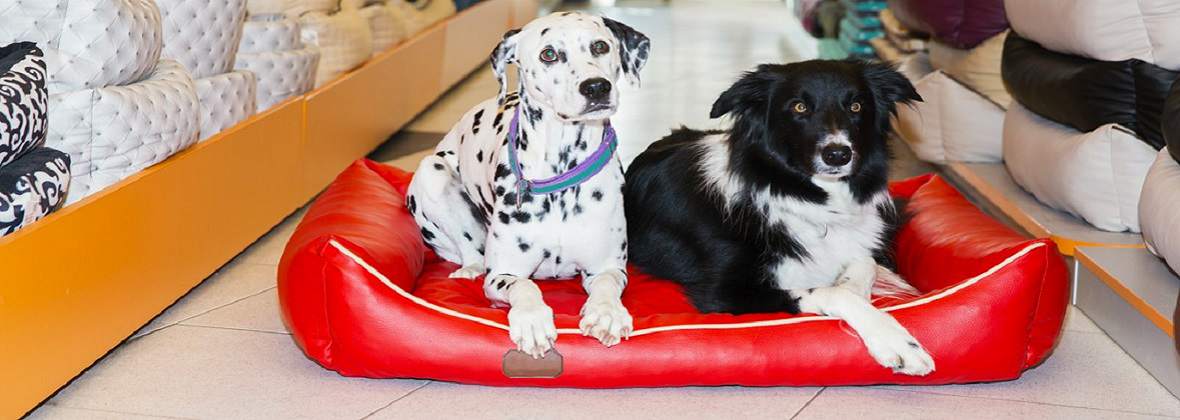 Salon zoologiczno-wędkarski Zwierzogród