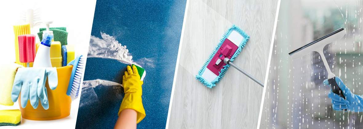 Nowa Miotła Agnieszka Nowogórska