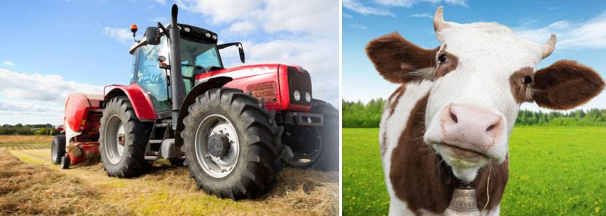 EJ ZAMOJTUK Spółka z ograniczoną odpowiedzialnością