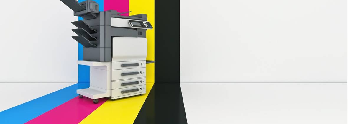 Xeropark Tomasz Szczegielniak