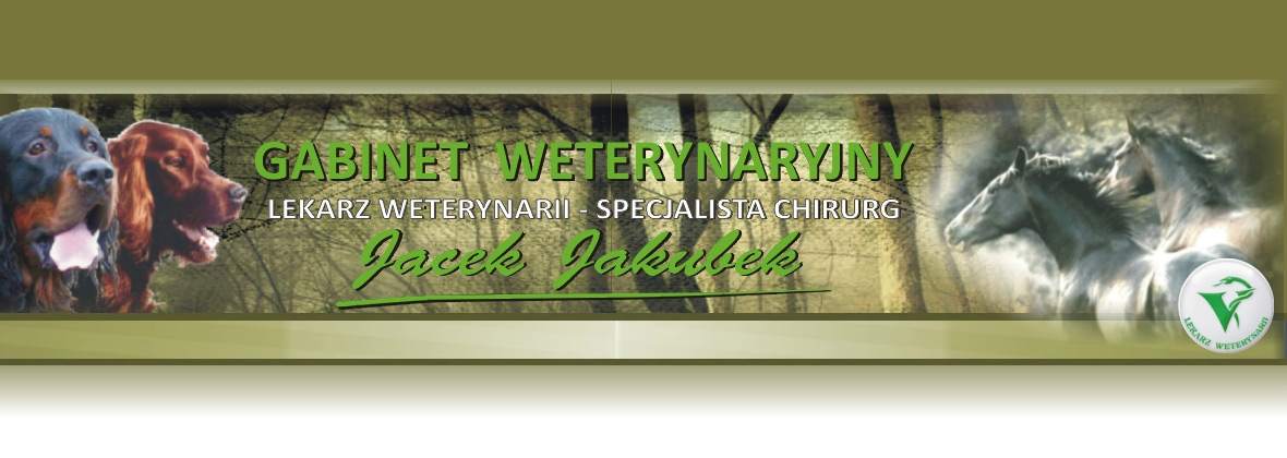 Jacek Jakubek Przychodnia Weterynaryjna