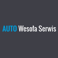 Zdzisław Nielipiński Blacharstwo i mechanika pojazdowa - Stacje obsługi i warsztaty samochodowe