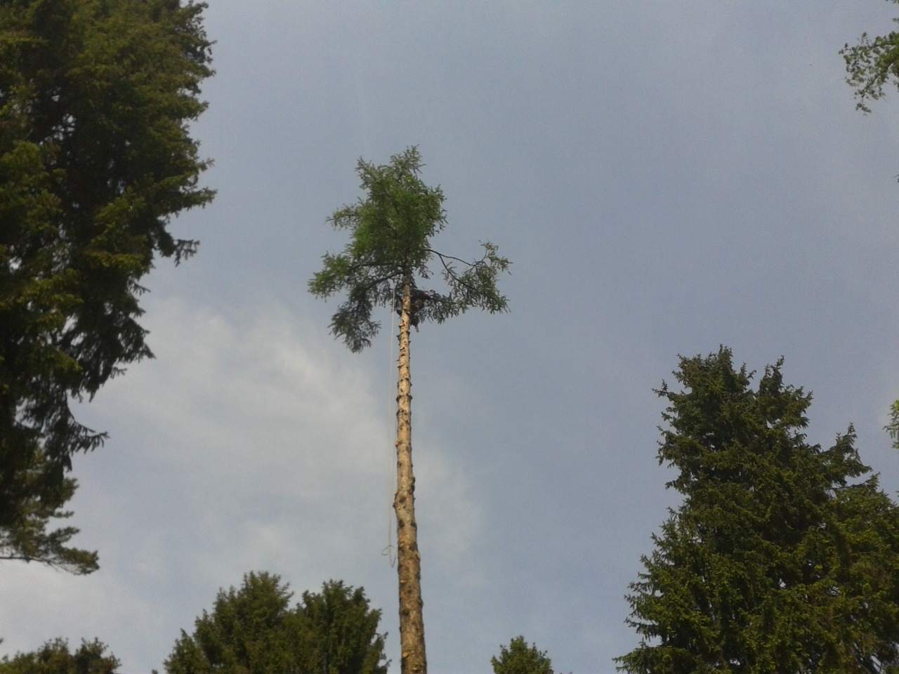 odśnieżanie dachów