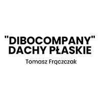 Dibocompany Tomasz Frączczak - Dachy i rynny