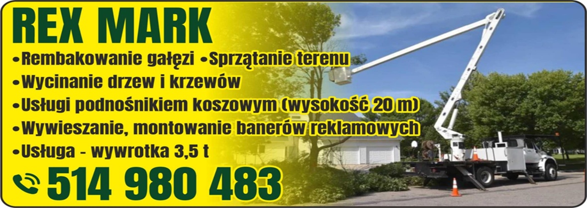 Wycinka drzew - REXMARK