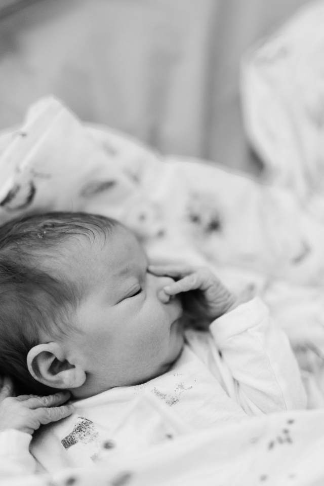 sesje fotograficzne, ślubne, noworodkowe