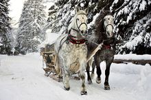 kulig w dolinie chochołowskiej