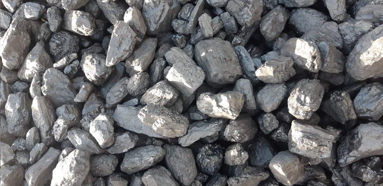 kamienny orzech duży