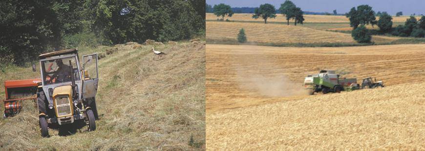 Rol-Max Elżbieta Jankowska
