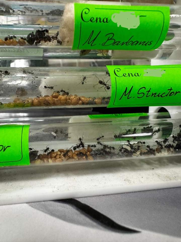 sklep z artykułami dla psa