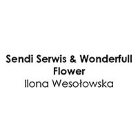 Sendi Serwis & Wonderfull Flower Ilona Wesołowska - Sprzątanie wnętrz i mycie okien