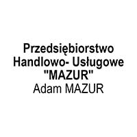 Przedsiębiorstwo Handlowo- Usługowe "MAZUR" Adam MAZUR - Wykopy i roboty fundamentowe